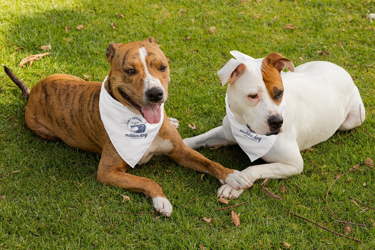 Malibu Dog Classic Bandana